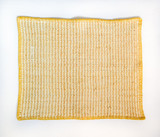 Embroidered Pitaya Yellow Placemat  (Set of 4)
