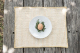 Embroidered  Pitaya Yellow Placemat  (Set of 6)