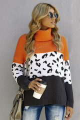 Color Block Turtleneck Splicing Chunky Knit Pullover Sweater
