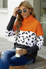 Color Block Turtleneck Splicing Chunky Knit Pullover Sweater