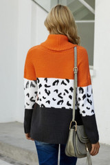 Color Block Turtleneck Splicing Chunky Knit Pullover Sweater
