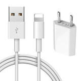 Kit USB Charger Cable For iPhone 6S 6 7 8 Plus X XS Max XR 5 5S 1m USB Charging Cable + USB Wall Charger EU/US Adapter For iPad