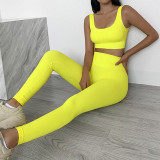 Seamless Set Gym Clothing Seamless Yoga Set Women Tracksuit Solid Sport Suit Fitness Women Workout Set Sports Wear For Women Gym