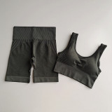2 pieces Seamless Yoga Set Workout Clothes Women Sports Bra Tops+Fitness Shorts Sports Wear Gym Clothing Athletic Yoga Sport Set
