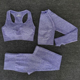 3pcs Women Seamless Yoga Set Fitness Sports Suits GYM Cloth Long Sleeve Shirts High Waist Running Leggings Workout Clothing Wear