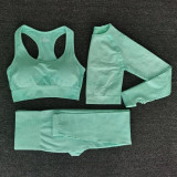 3pcs Women Seamless Yoga Set Fitness Sports Suits GYM Cloth Long Sleeve Shirts High Waist Running Leggings Workout Clothing Wear