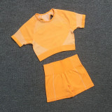 Quick Dry 2 Piece Gym Set Workout Clothes Women Sport Bra + Seamless Fitness Shorts Sports Wear Gym Clothing Athletic Yoga Set