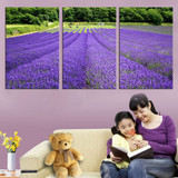 3 Panel Modern Lavender Flowers Canvas Painting on Canvas Wall Art Pictures Home Decor Living Room