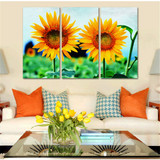 Canvas Painting Sunflower Landscape Modern Printing  Wall Art Poster Modular Picture 5 Pieces