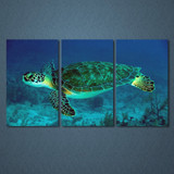 Wall Art Poster 3 Pieces Seabed Animal Turtle Bedroom Canvas Print Painting Pictures Modular