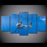 HD Printed 5 Piece Canvas Art Shark in Ocen Painting Canvas Wall Pictures