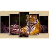Modern HD Printed Modular Posters 5 Panel Animal Tiger Tableau Wall Art Canvas Pictures Paintings