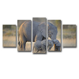 Poster Art Painting HD Printed Canvas Modular 5 Panel Animal Elephants Wall Pictures