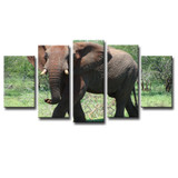 HD Wall Art Printed Canvas 5 Panel Animal Elephants Modular Pictures Poster Cuadros Painting