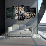 Modern Wall Art Poster 5 Panel Animal Leopard HD Print Painting Modular Canvas Pictures