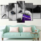 HD Printed 5 Piece Canvas Art Blue Eyes Husky Painting Dog Ball Play Poster Wall Pictures