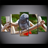 HD Printed 5 Piece Canvas Art Animals Parrot Art Painting Wall Pictures