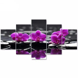 5 Panel Wall Art Painting Dendrobium Flower Picture HD Print on Canvas