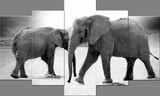 5 Piece Canvas Art Elephant Animal Oil Painting Wall Pictures Decor Wall Art Prints