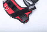 Personalized Dog Harness Customized With Your Pets Name by SafeDogz