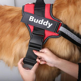 Personalized Dog Harness Customized With Your Pets Name by SafeDogz