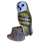 Barn Owl