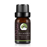 Aromatherapy Pure Massage Essential Oil