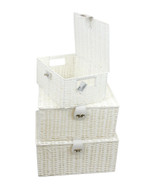 Arpan Resin Woven Storage Basket Hamper Set of 3