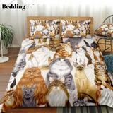 Cute Different Cats Bedding Set