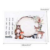 Baby Blanket Flannel Photography Monthly