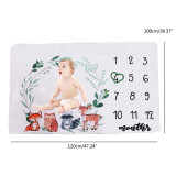Baby Blanket Flannel Photography Monthly