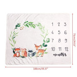 Baby Blanket Flannel Photography Monthly