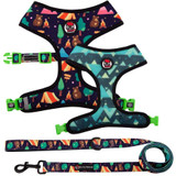Mesh Harness/Leash Combo Set