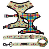 Mesh Harness/Leash Combo Set