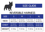 Mesh Harness/Leash Combo Set