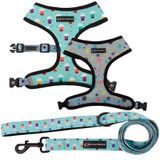 Mesh Harness/Leash Combo Set