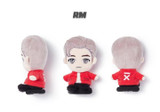 [PRE-ORDER] BTS Tiny Tan Official MD - December