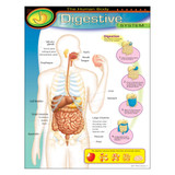 The Human Body–Digestive System Learning Chart