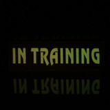 Reflective Service Dog Harness Patch