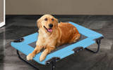 Portable Foldable Elevated Camping Dog Bed for Large Dogs