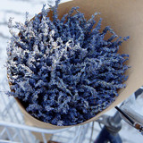 Dried Lavender Bundle
