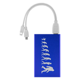 Evolution Power Bank