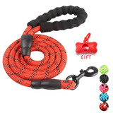 5ft Durable Reflective Nylon Dog Leash in 6 COLORS