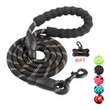 5ft Durable Reflective Nylon Dog Leash in 6 COLORS