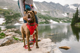 Ruffwear Front Range Harness