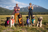 Ruffwear Front Range Harness