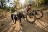 Ruffwear Switchbak Dog Harness