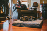 Ruffwear Restcycle Bed