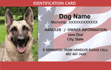 ID Card - Pet Companion