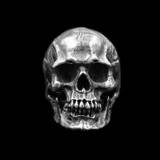 Skull ring SS